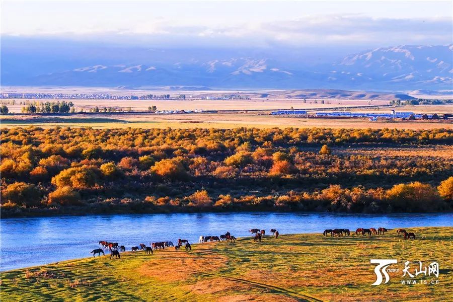 新疆,梦想起航之地,学习照亮自信之路