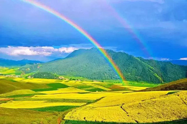 青海小巷秘境,味蕾深处的别样之旅