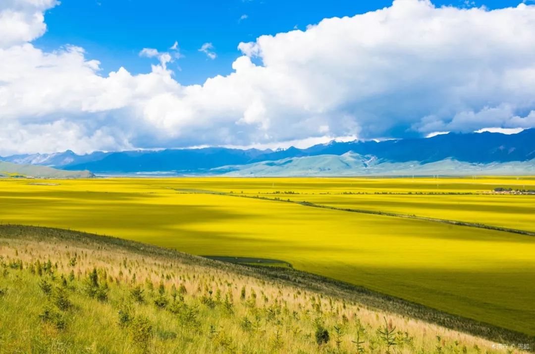 青海小巷秘境,味蕾深处的别样之旅