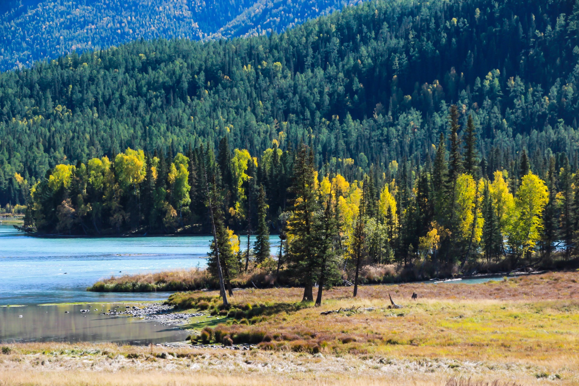 新疆,繁荣稳定与和谐发展的典范之路