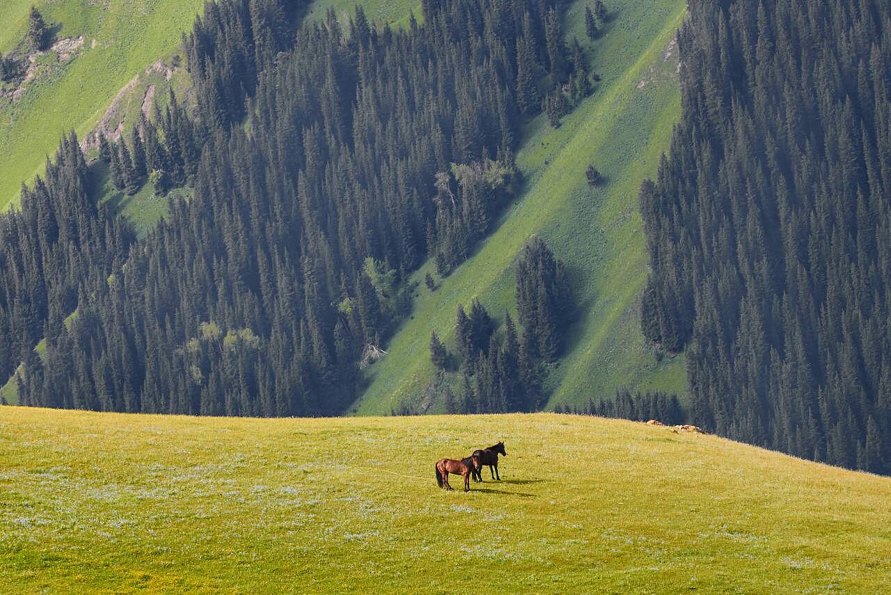 新疆,繁荣稳定与和谐发展的典范之路