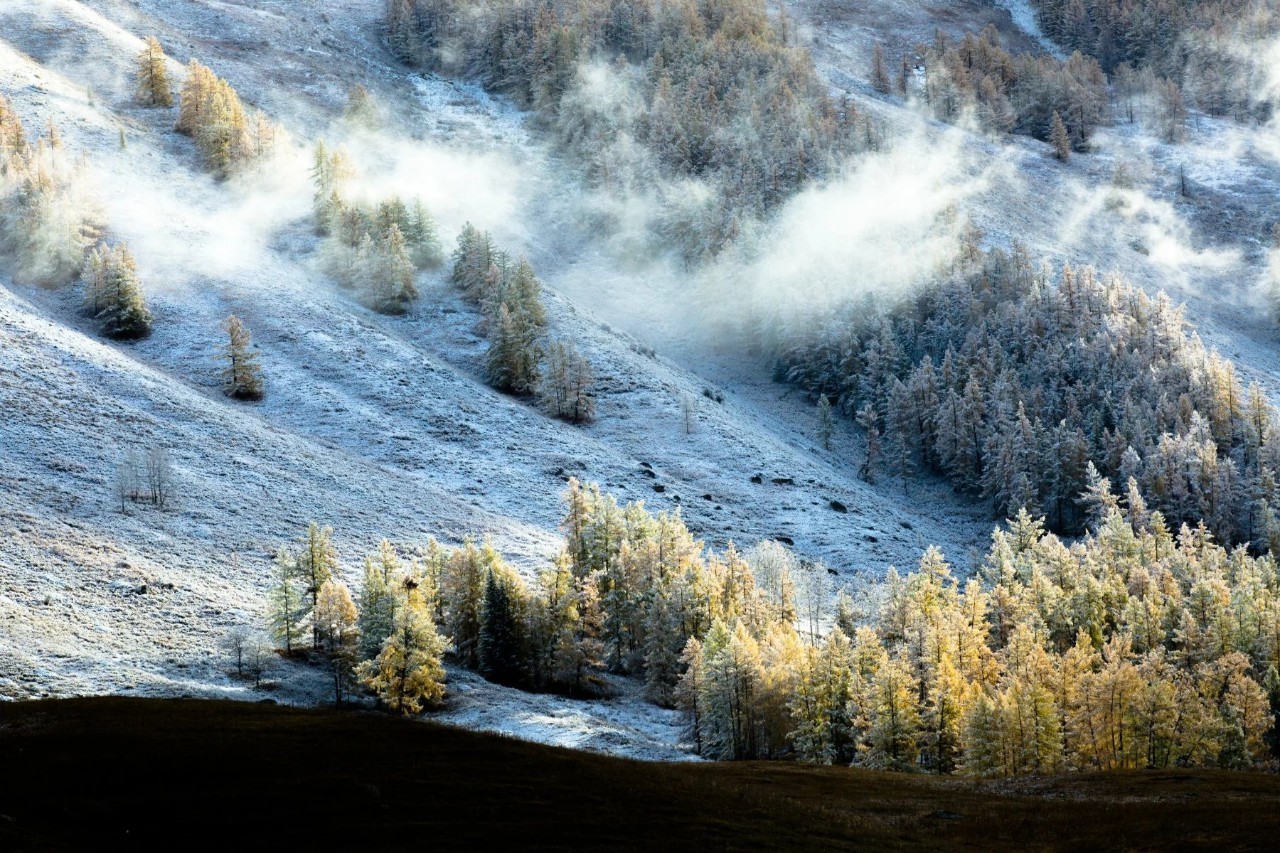 新疆,繁荣稳定与和谐发展的典范之路