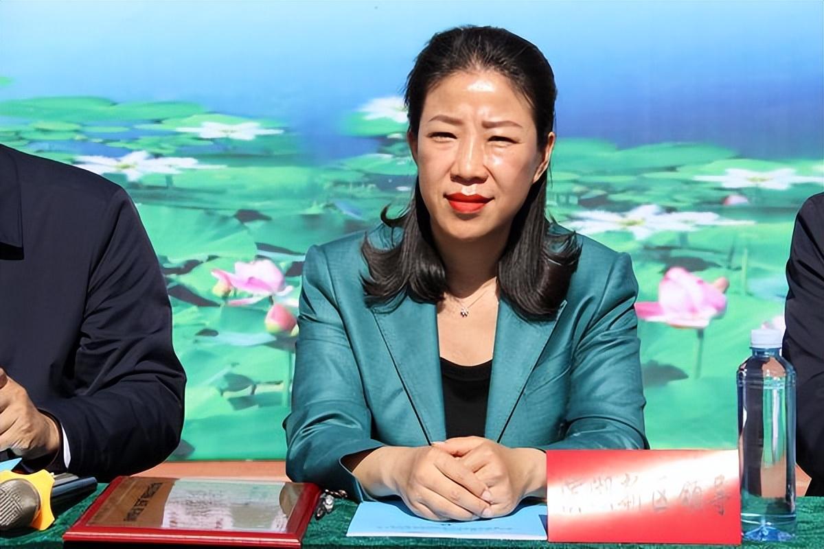 衡水,冀东明珠,外交部点赞其发展成就